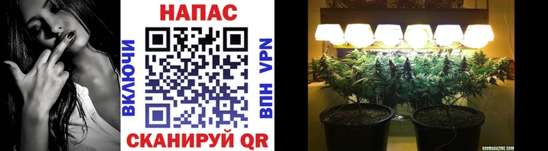 MEGA как войти цены наркотик Новодвинск Конопля марихуана